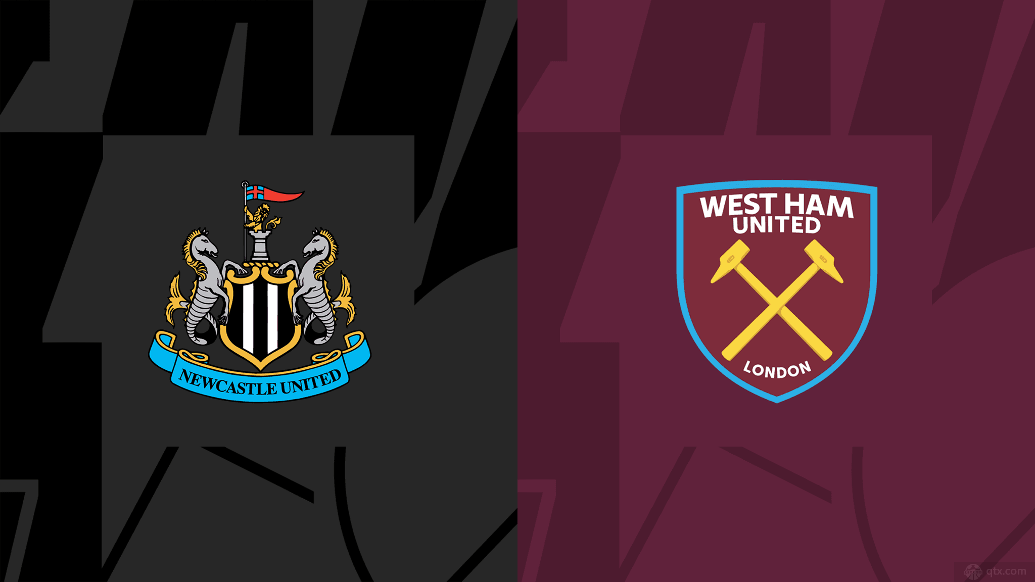 高蛋白饮食 高蛋白饮食